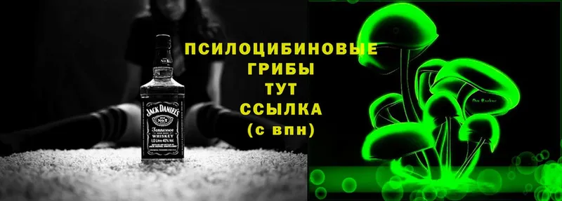 Галлюциногенные грибы MAGIC MUSHROOMS  KRAKEN зеркало  Пошехонье 